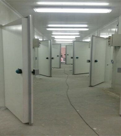 Doors of Chiller and freezer rooms