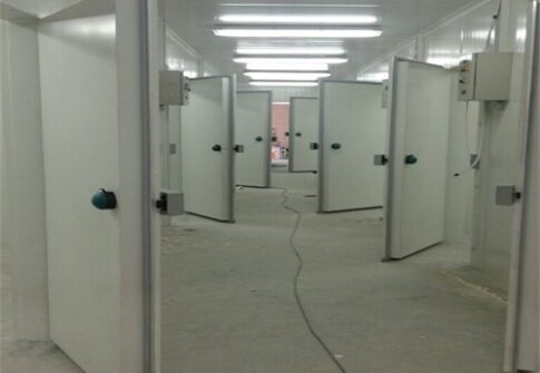 Doors of Chiller and freezer rooms